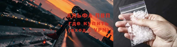 стаф Киреевск