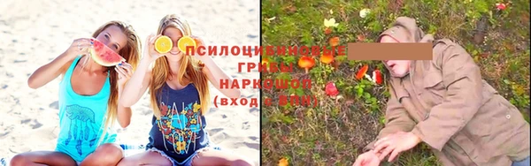стаф Киреевск
